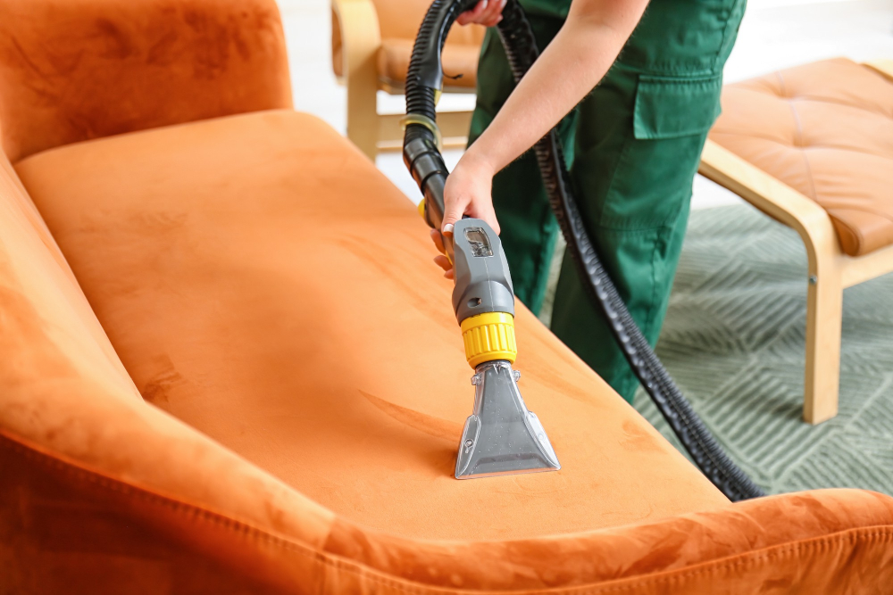 Upholstery Cleaning